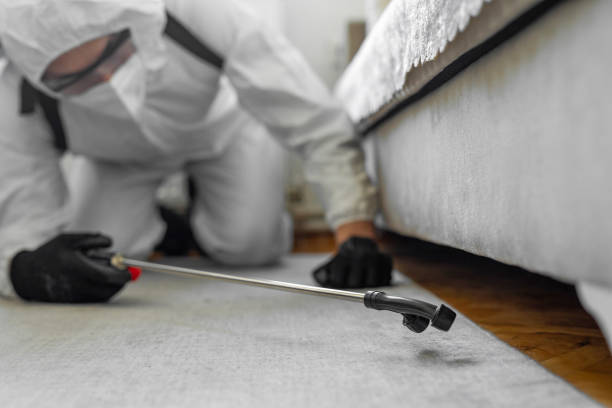 Professional Cockroach Control technician working in Marshall, MN