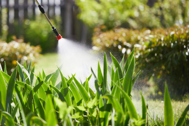 24/7 Emergency Cockroach Control experts in Marshall, MN